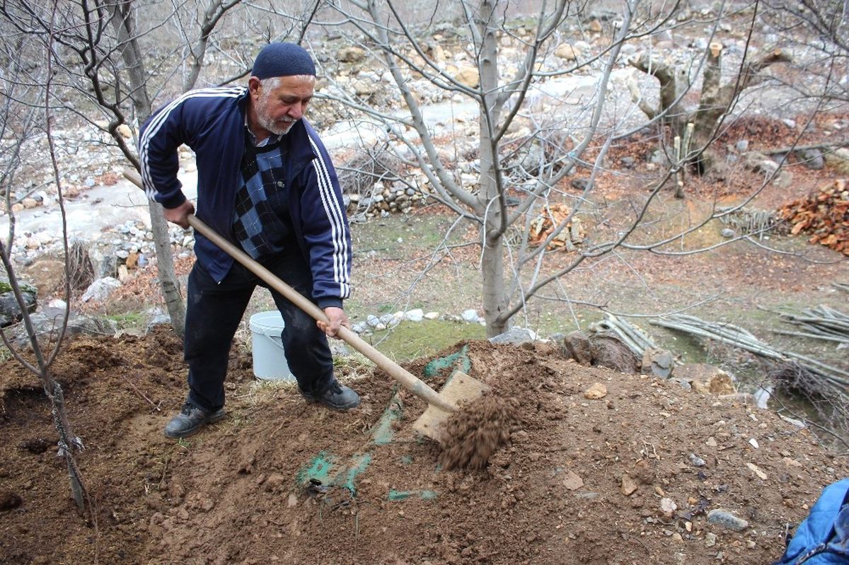 Sason\'da Şalgam Toprak Altında Çıkarılmaya Başlandı