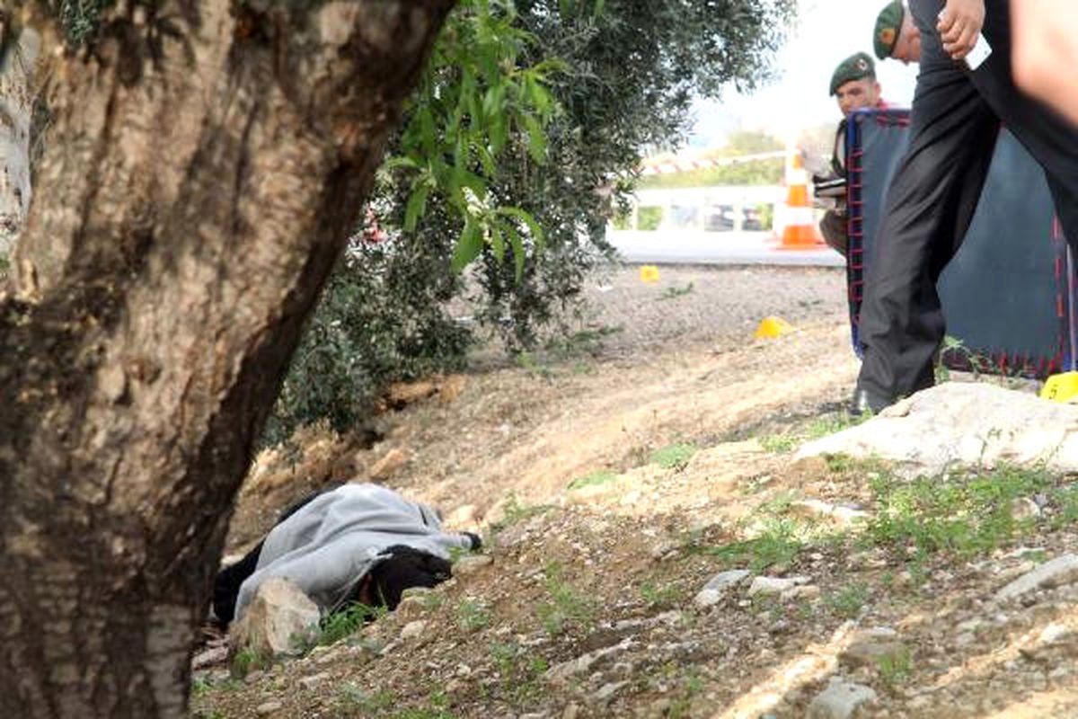 Silifke\'de Yol Kenarında Kadın Cesedi