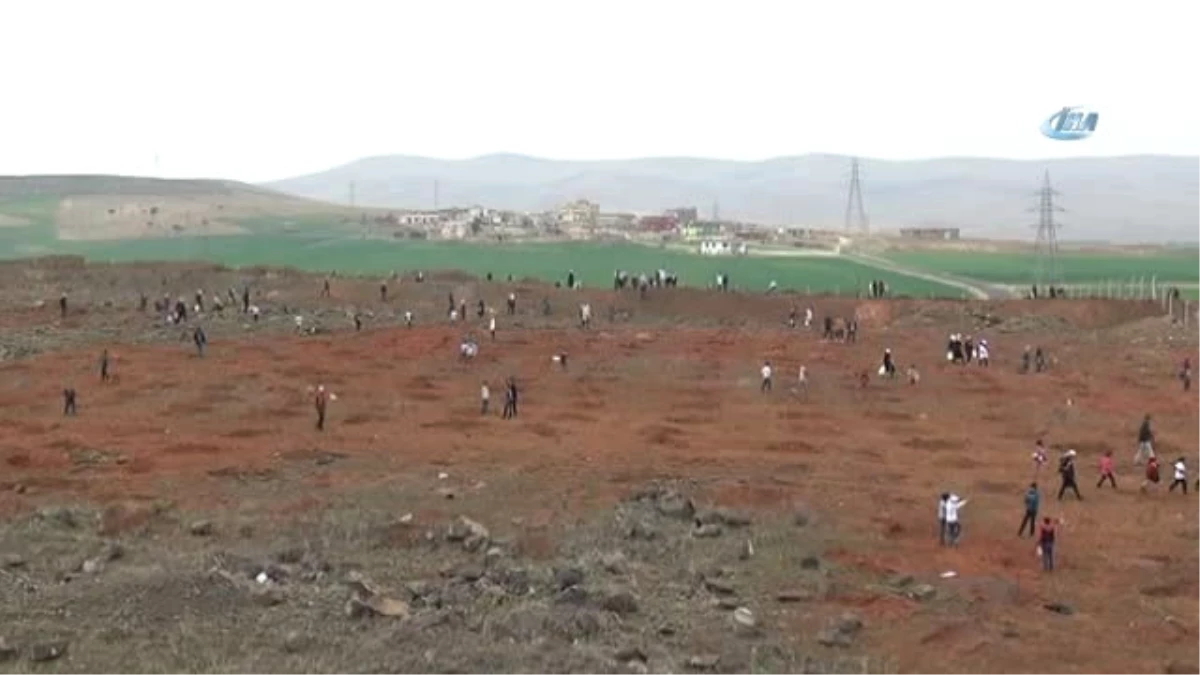 Suriyeli Çocuklar Sığındığı Topraklarda Ağaç Dikti- 500 Suriyeli Öğrenci 2 Bin Fidan Dikti-...
