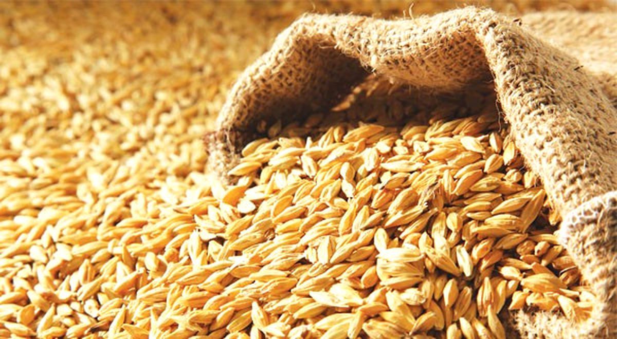 Arpa İthalatında Gümrük Vergisi Mayıs Sonuna Kadar Sıfırlandı