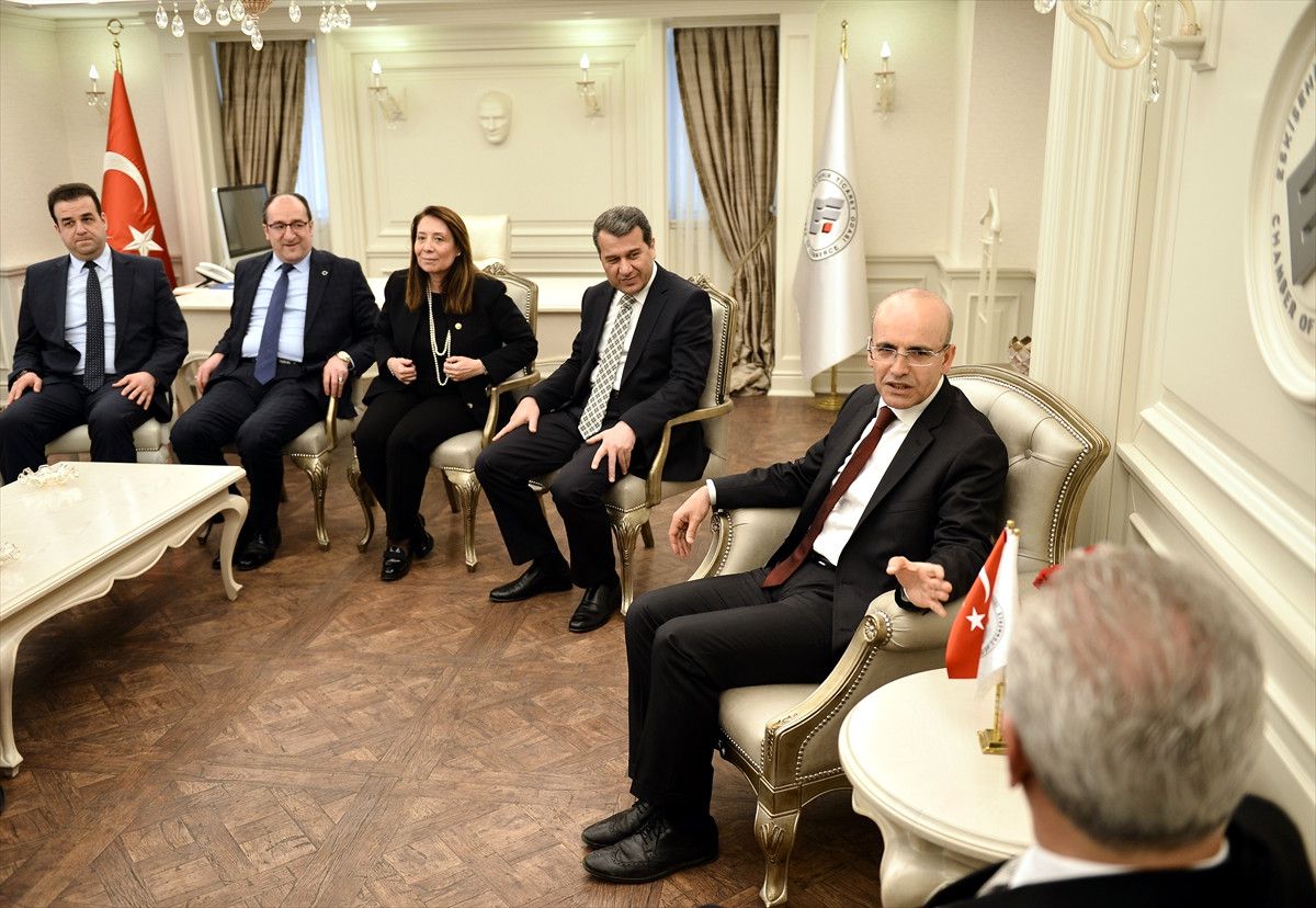 Başbakan Yardımcısı Şimşek: (2)