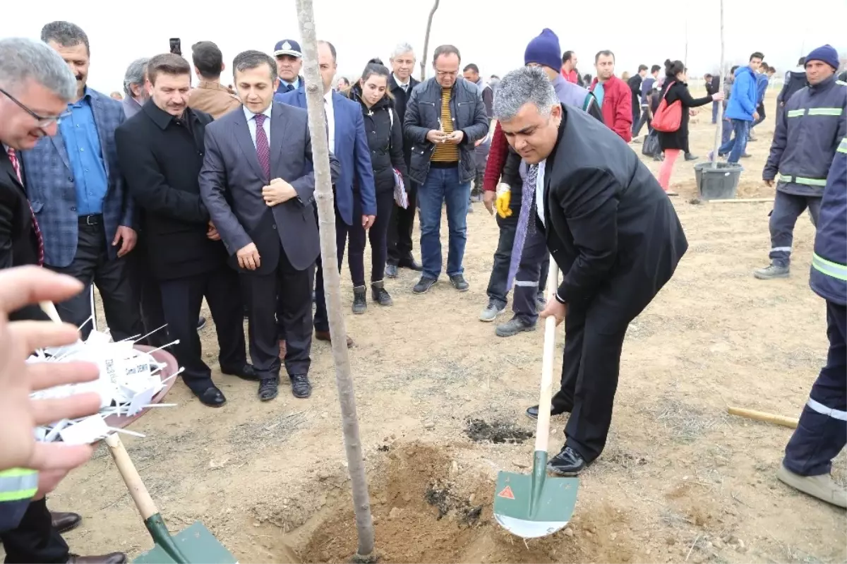 Ereğli\'de 15 Temmuz Şehitleri İçin Hatıra Ormanı Oluşturuldu