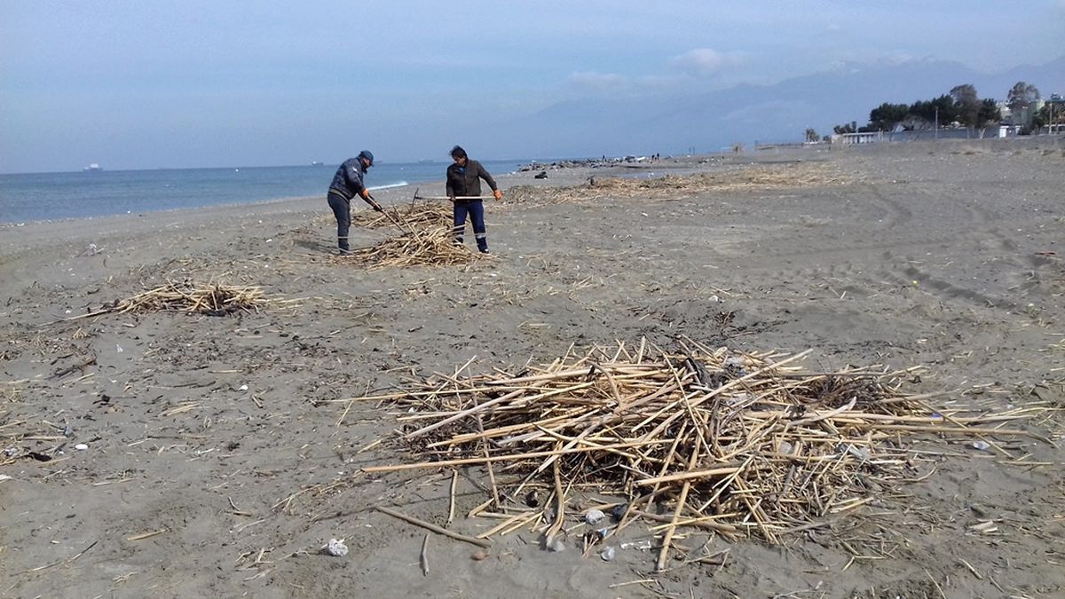 HBB Ekipleri Deniz Ve Sahil Temizliği İçin Kolları Sıvadı
