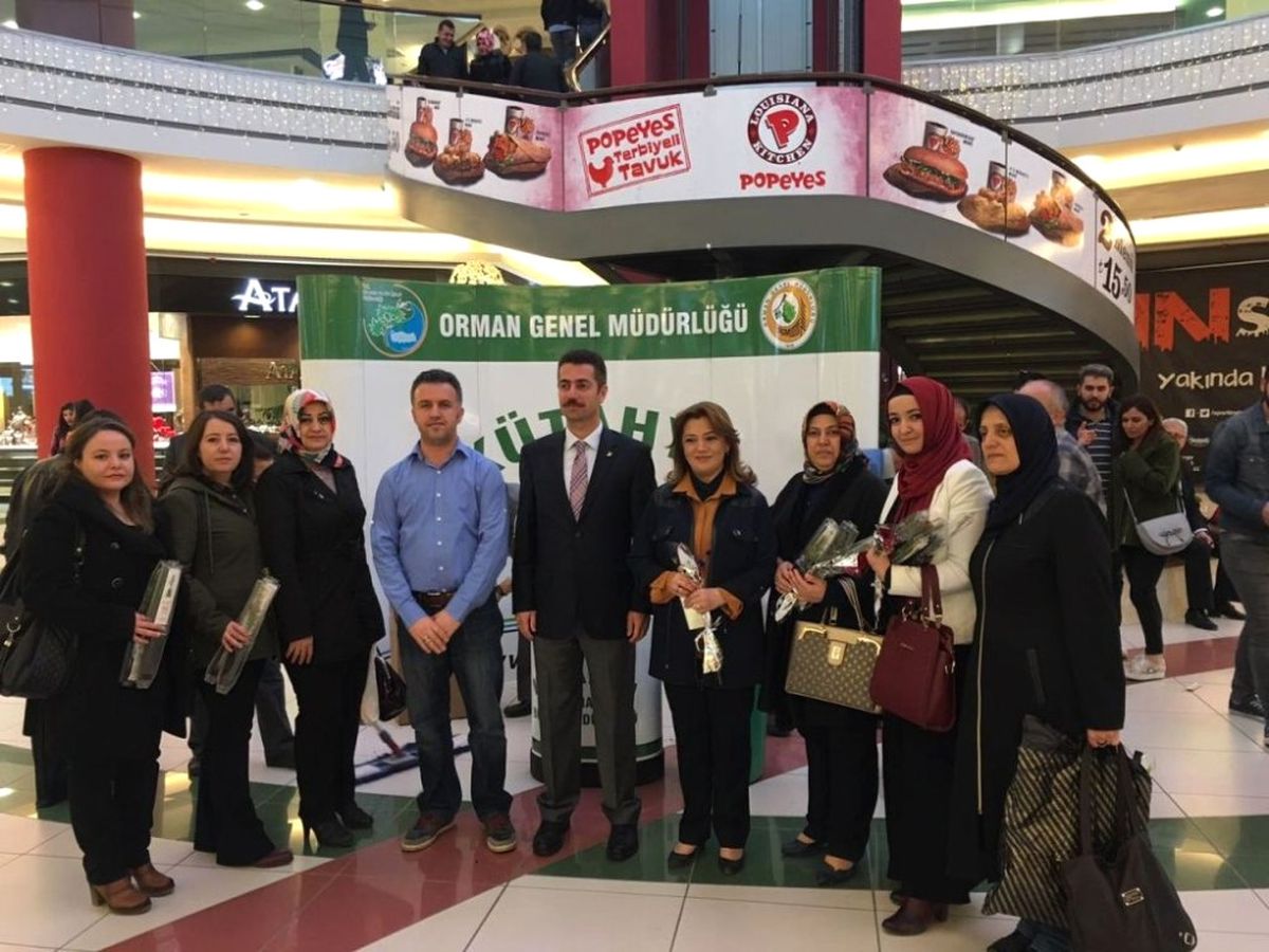 Kütahya\'da Kadınlara Bin 71 Fidan
