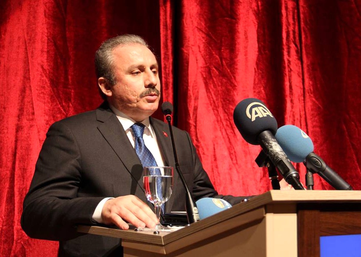 TBMM Anayasa Komisyonu Başkanı Şentop Açıklaması