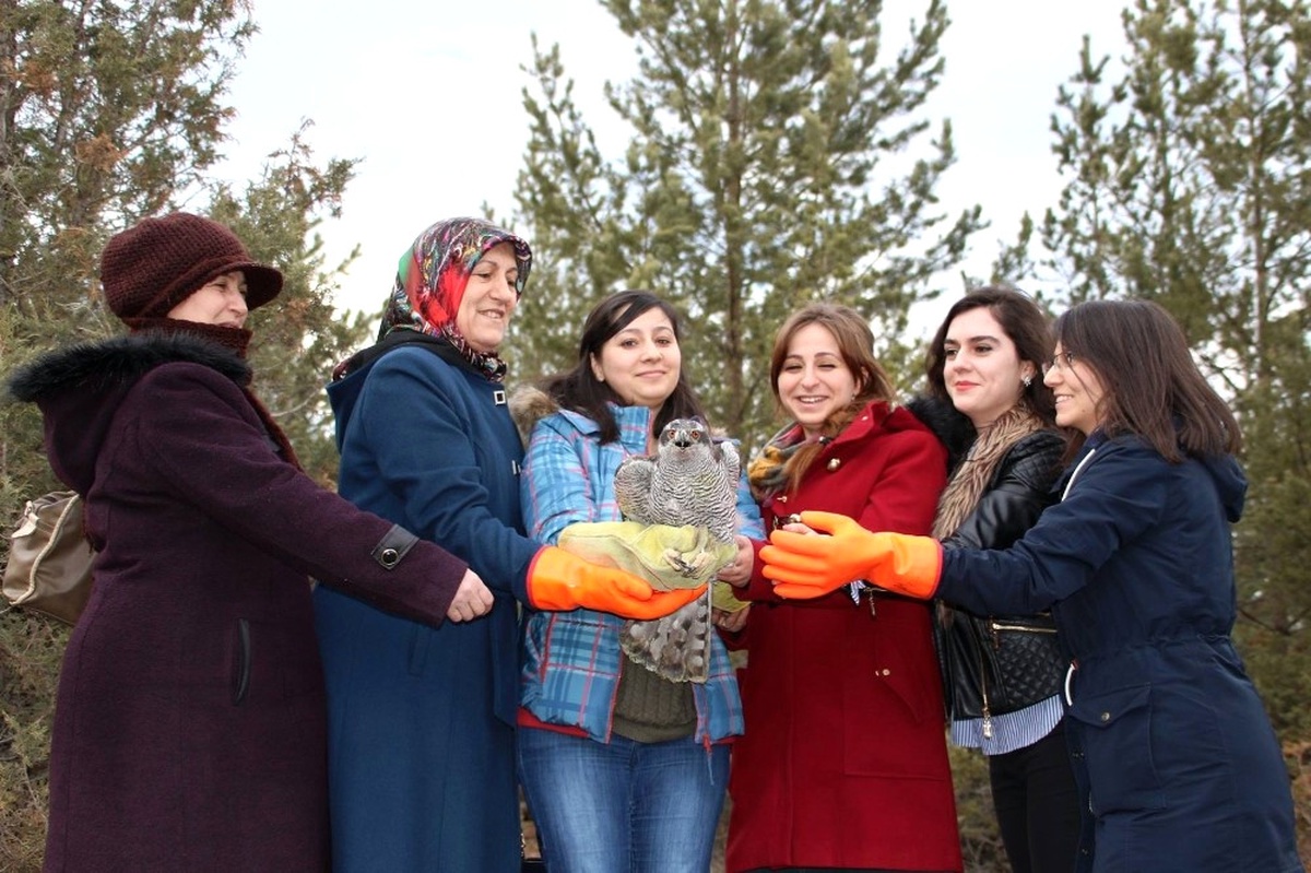 Tedavisi Tamamlanan \'Çakır\'ı Doğaya Kadınlar Salıverdi