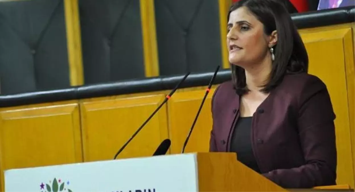 Yüksekdağ\'ın Hdp Üyeliğinin Düşürülmesi