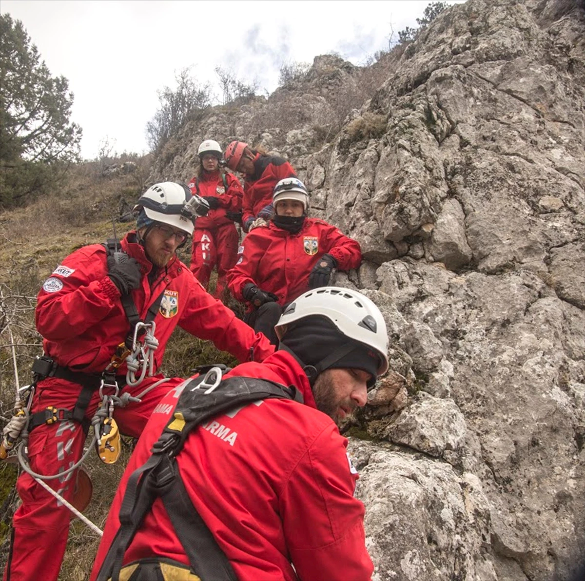 Hamile Keçi 3 Saatlik Operasyonla Kurtarıldı