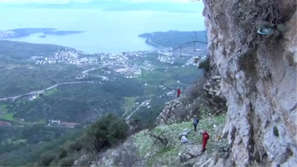 600 Metre Yükseklikteki Uçurumdan Kurtardıkları Yaralı Kangalı Sırtlarında Taşıdılar