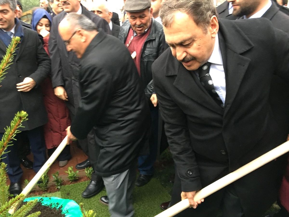 Bakan Eroğlu, Ümraniye\'de Fidan Dikti