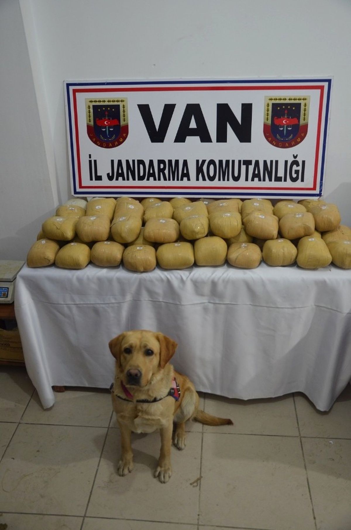 Başkale\'de 70 Kilo Esrar Ele Geçirildi