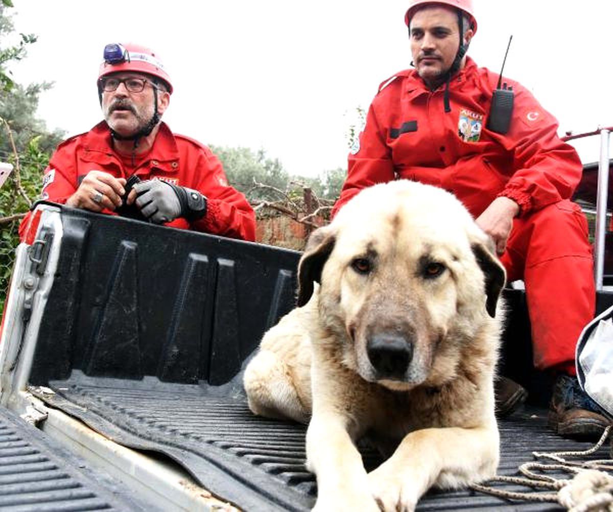 Karabaş\', 10 Gün Sonra Bulunup Kurtarıldı