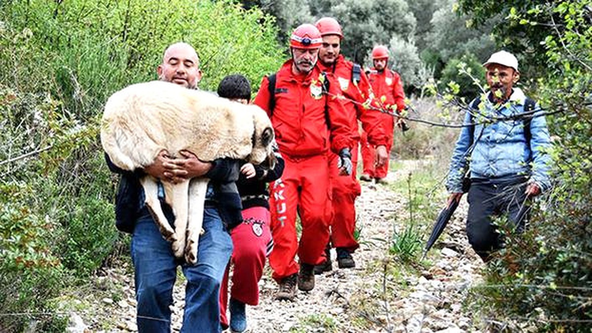 Kayalıklarda Mahsur Kalan "Karabaş"I Akut Kurtardı