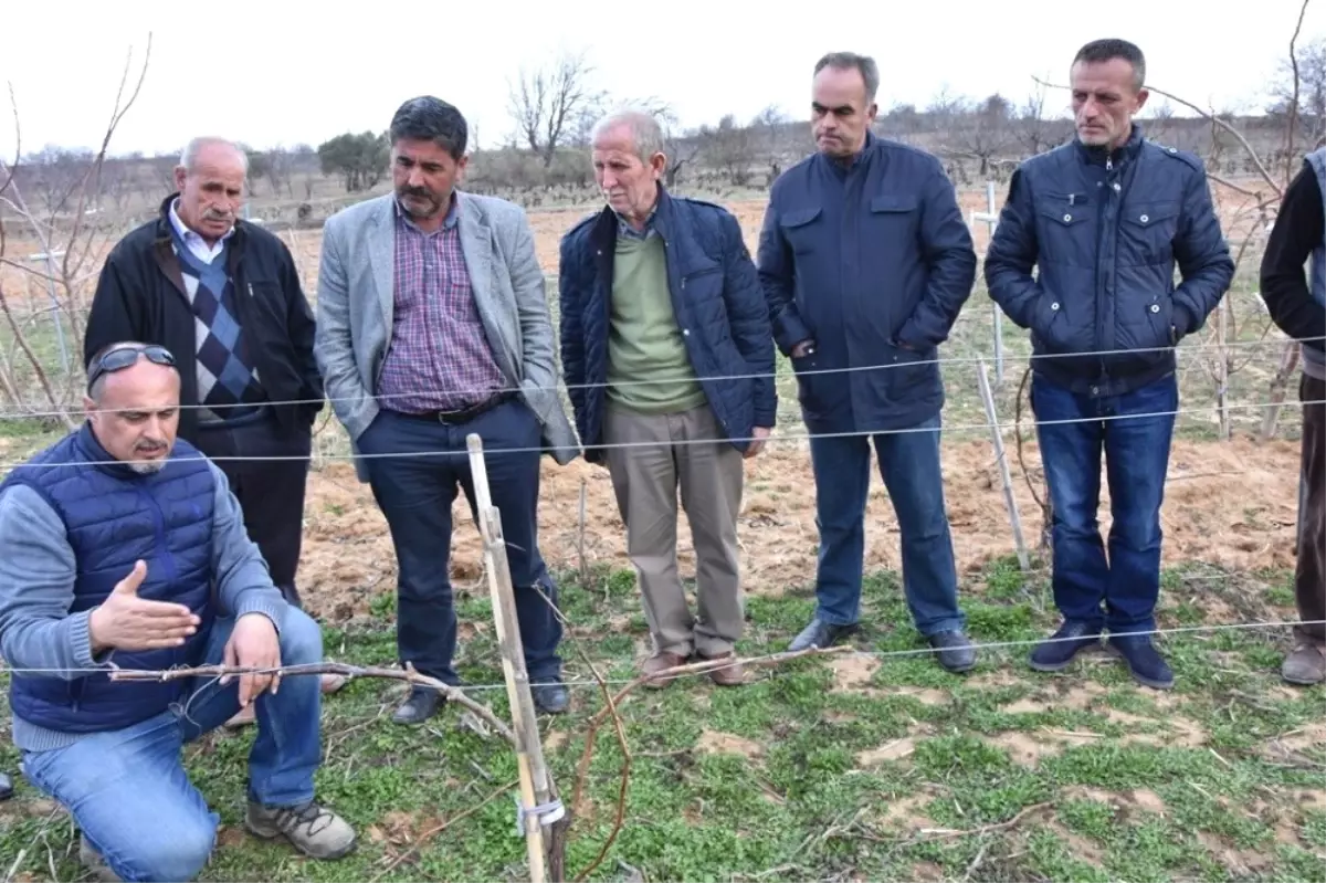 Tekirdağ\'da Tarıma Destek Çalışmaları