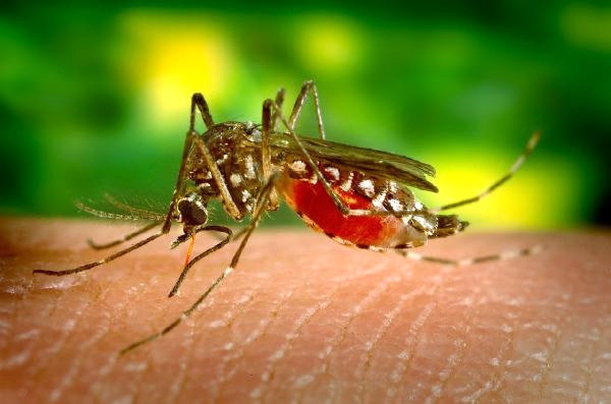 Burundi Declares Malaria Epidemic As Death Toll Rises