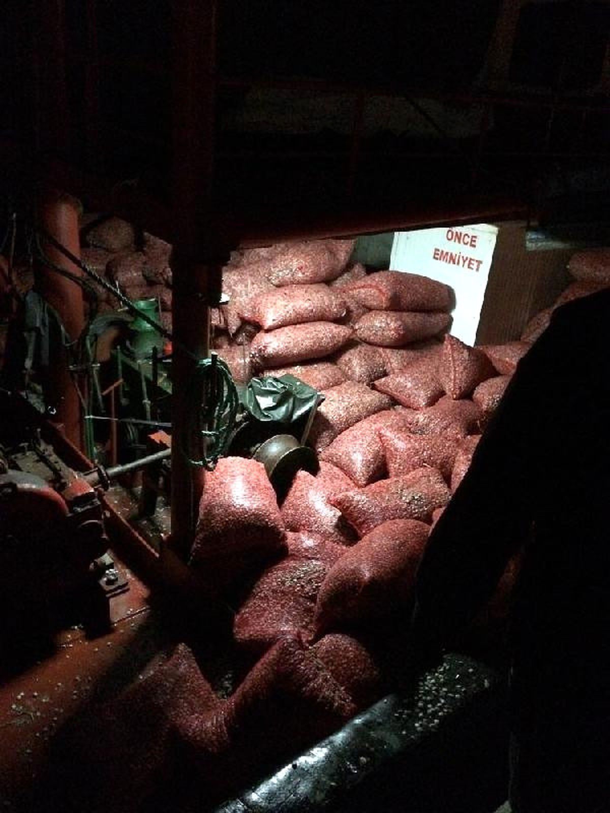 El Konulan 80 Bin Kilo Kum Midyesi Yeniden Denize Bırakıldı