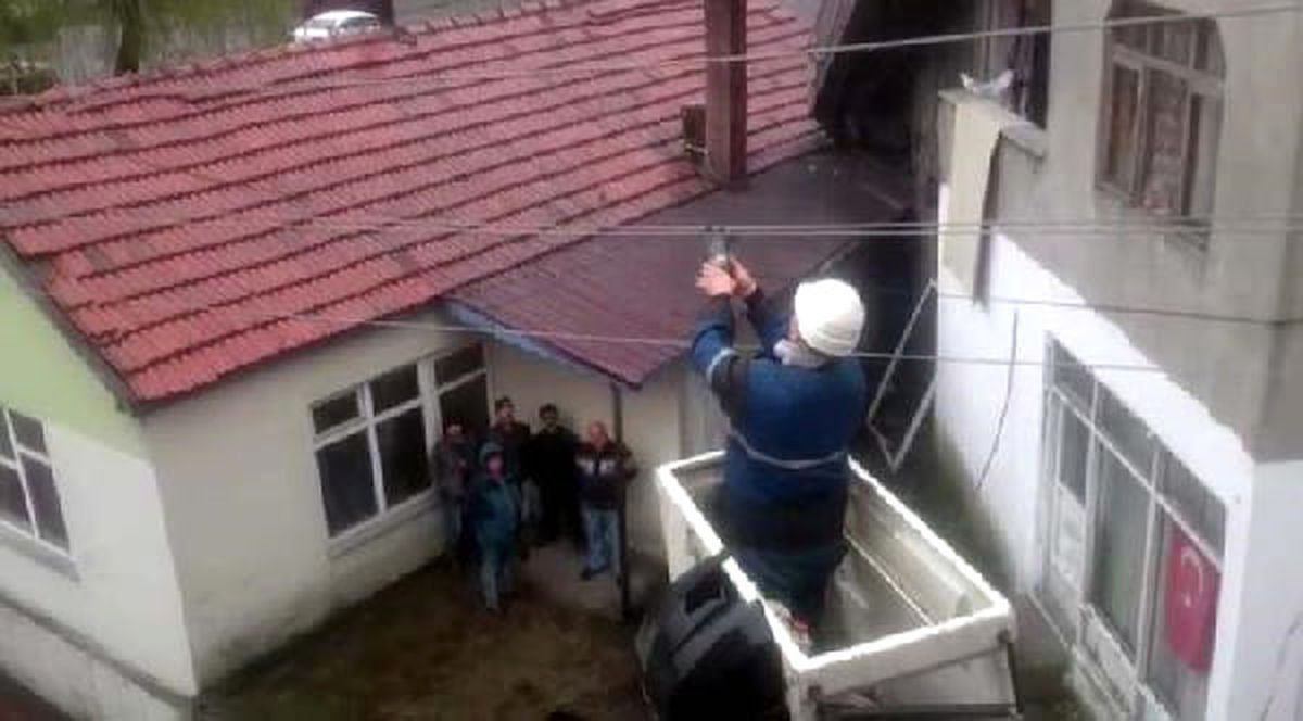 Elektrik Telinde Mahsur Kalan Güvercin Kurtarıldı