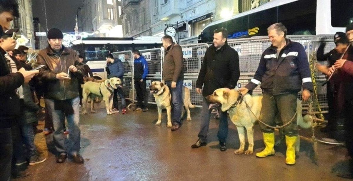 Hollanda\'ya Kangallı Protesto