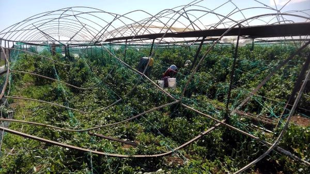 Manavgat\'ta Hortumun Zararı 245 Milyon Lira