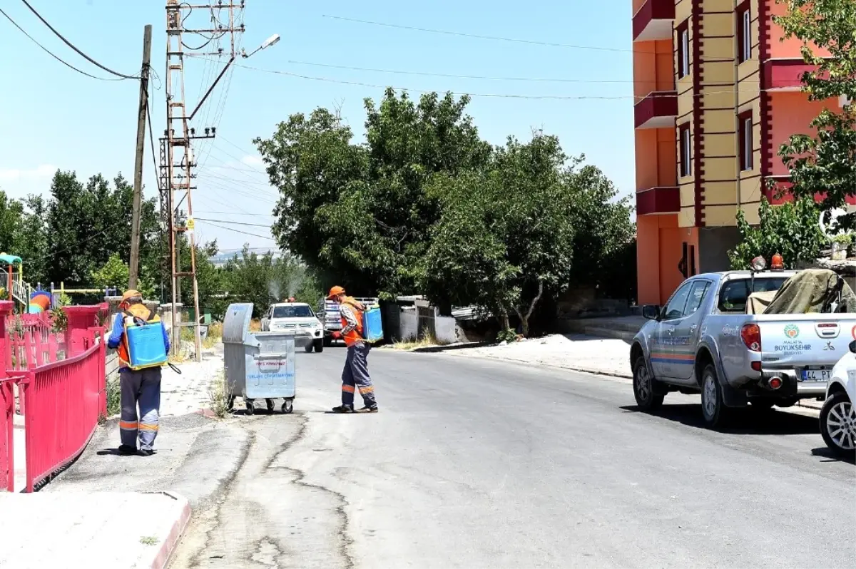 Büyükşehir\'den Haşereyle Etkin Mücadele