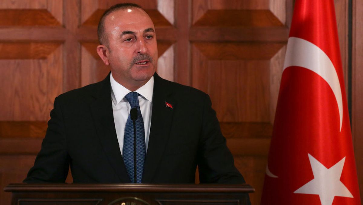Dışişleri Bakanı Çavuşoğlu: (2)