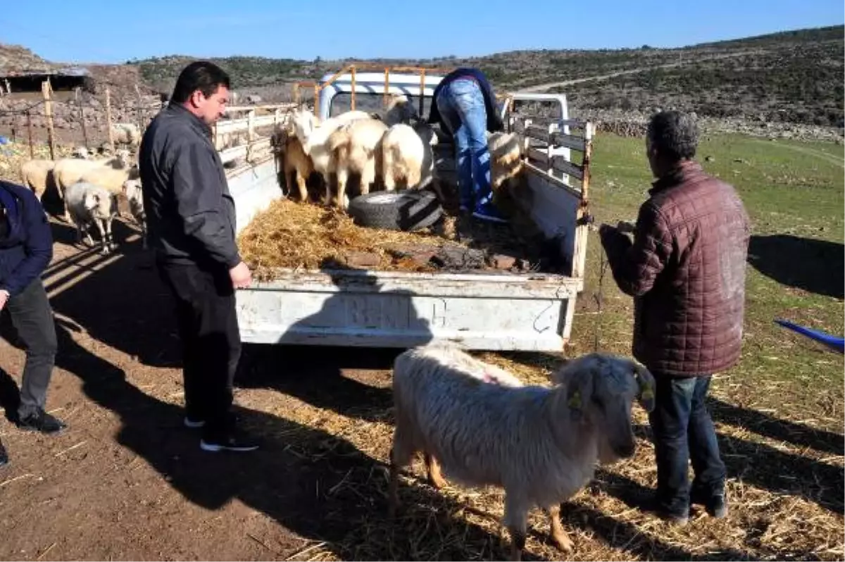 Genç Çiftçi Hibe Destek Projesi"