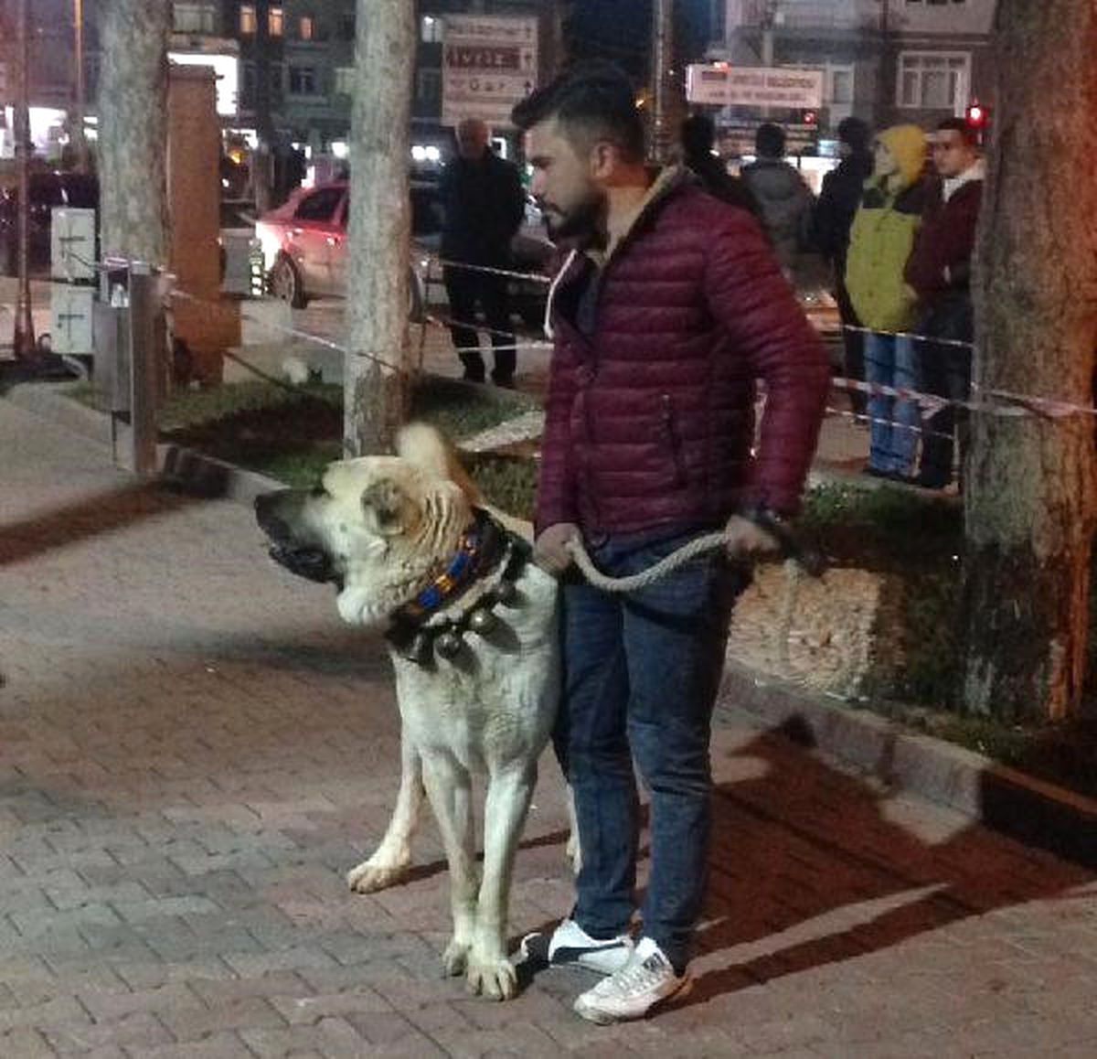 Hollanda\'ya Kangal Köpekli Protesto