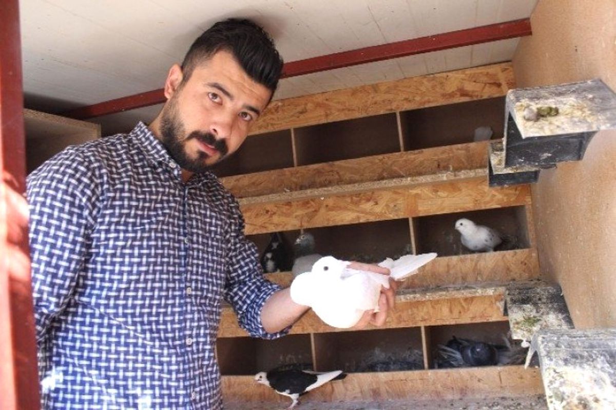 Kümesten Güvencin Çaldılar
