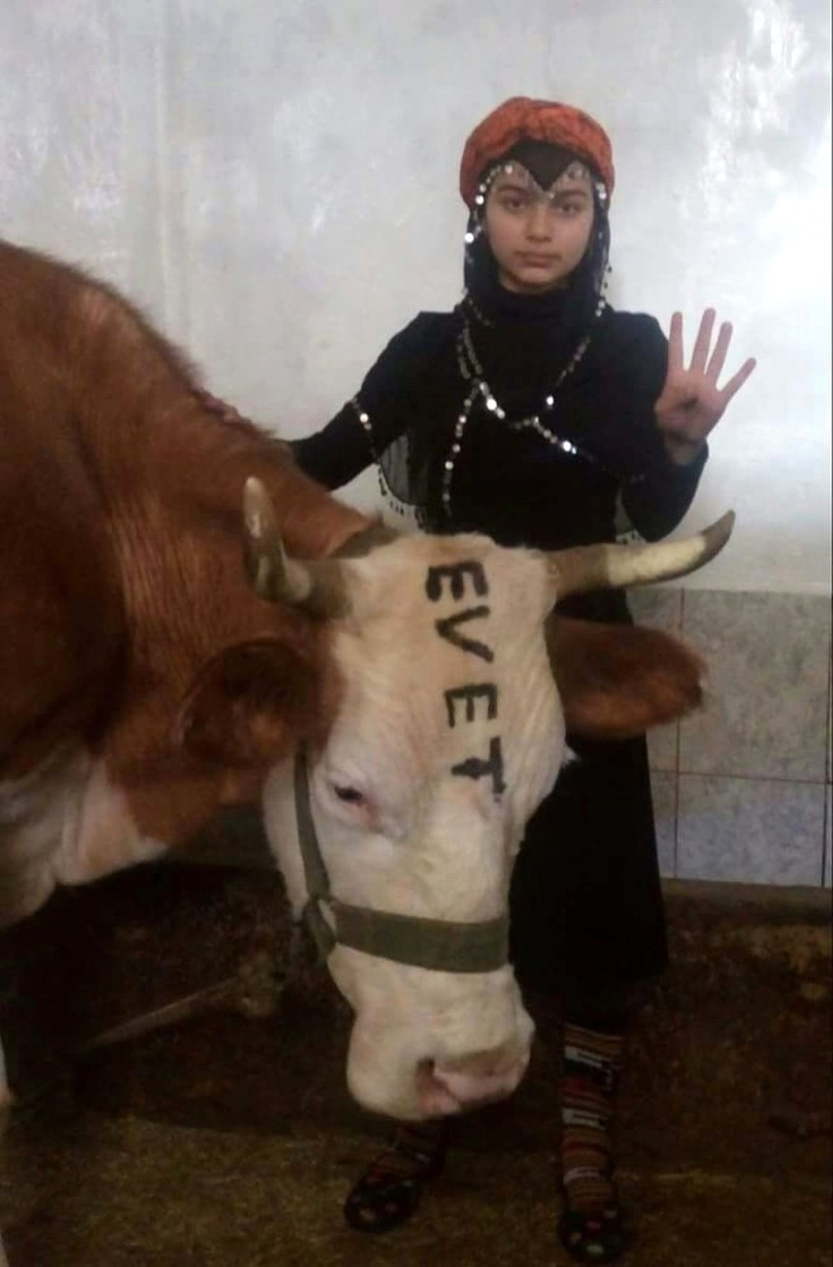 Rizeli Heidi "Evet" Diyecek