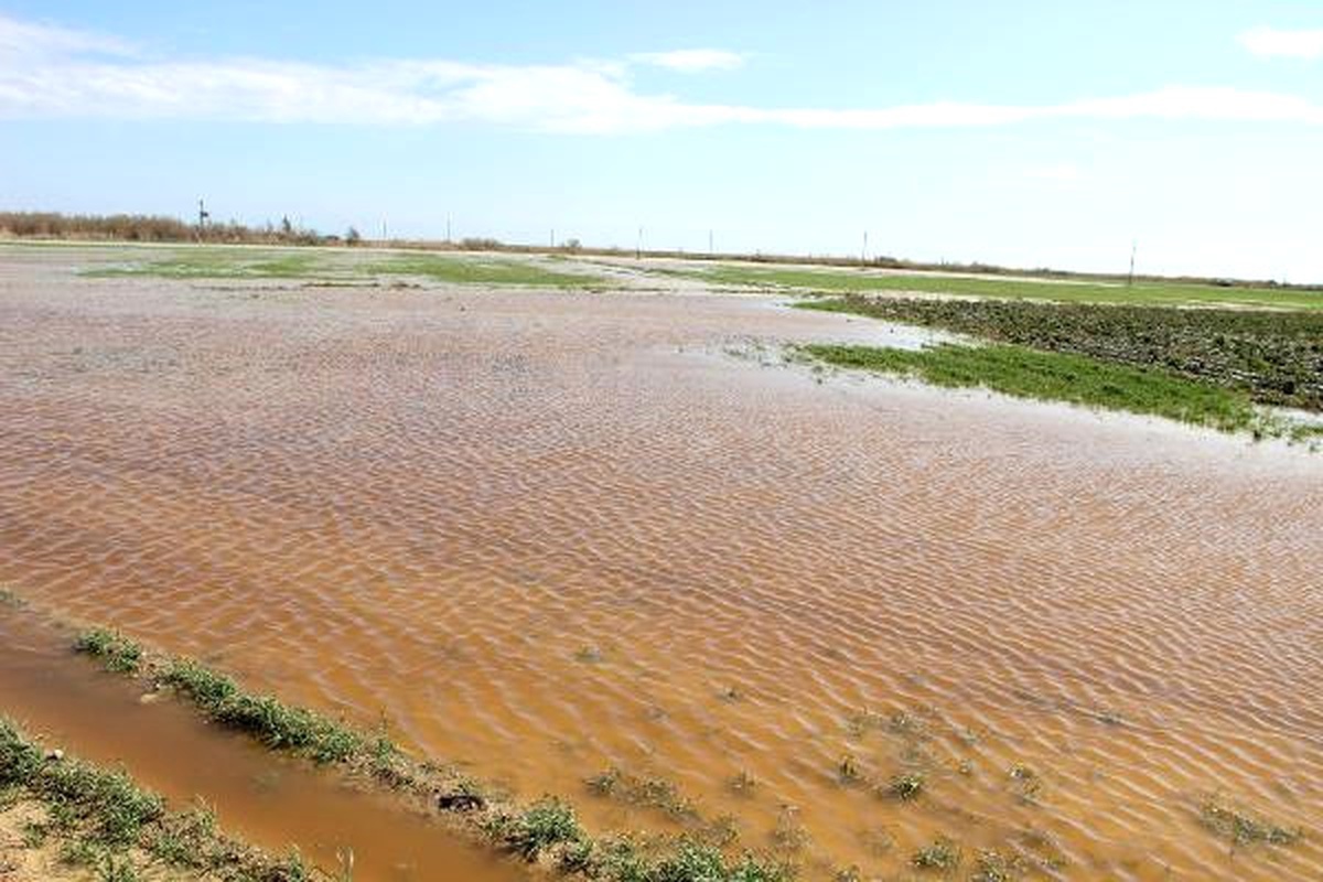 Silifke\'de 109 Dönüm Tarım Arazisi Sular Altında Kaldı