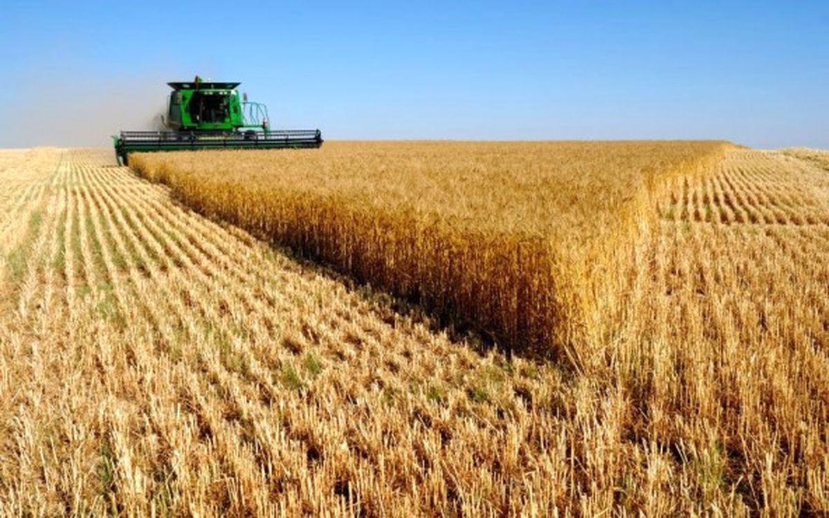 Torku, Bulgur Üretimine Başladı