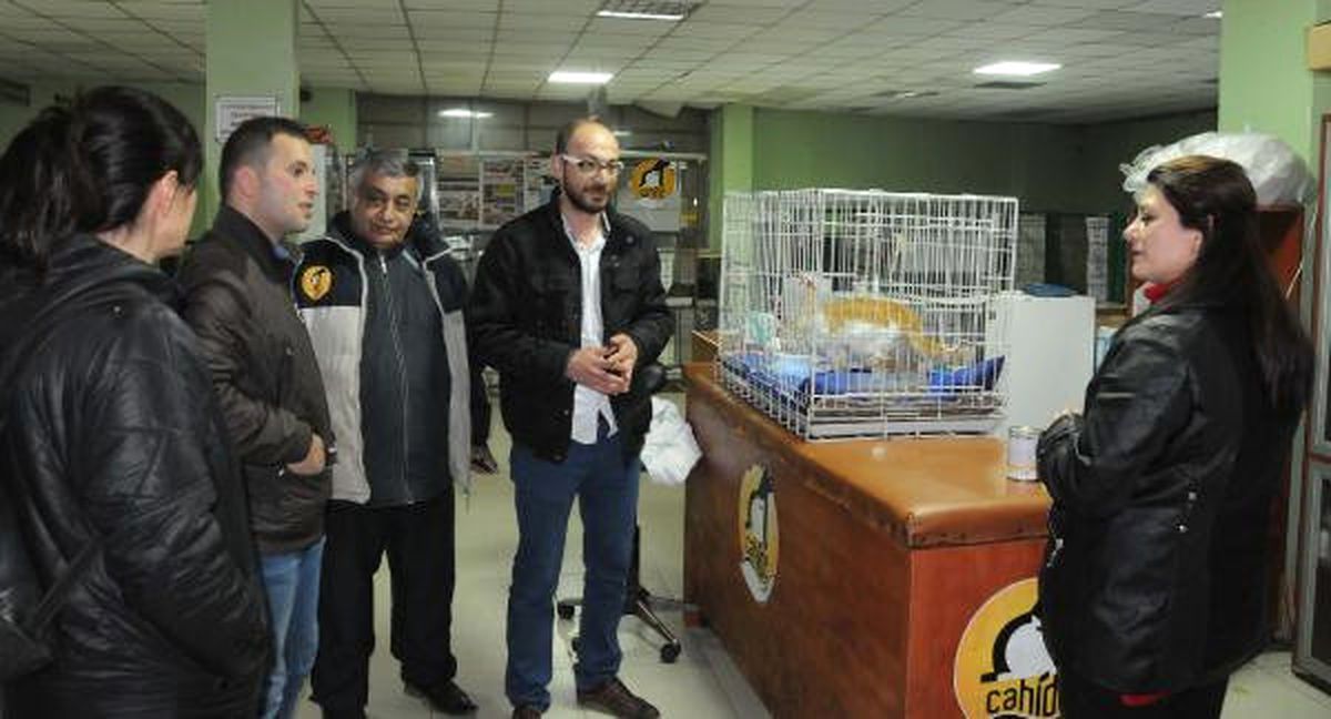 Uzman Çavuş Özkan, El Bab\'dan Kurtardığı \'Barış\' Adlı Kediyi Görmeye Geldi