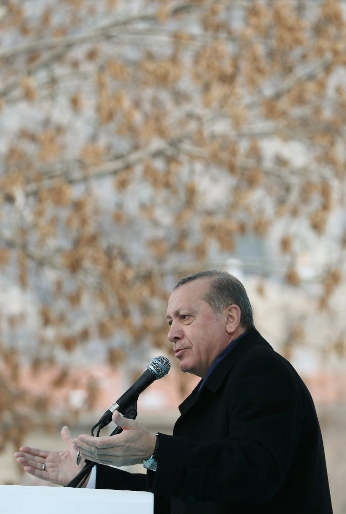 Detay Görüntü) Erdoğan: Faşizmin Ruhu Avrupa Sokaklarında Kol Geziyor