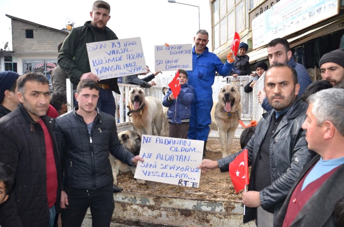 Hollanda\'ya \'Kangallı\' Tepki