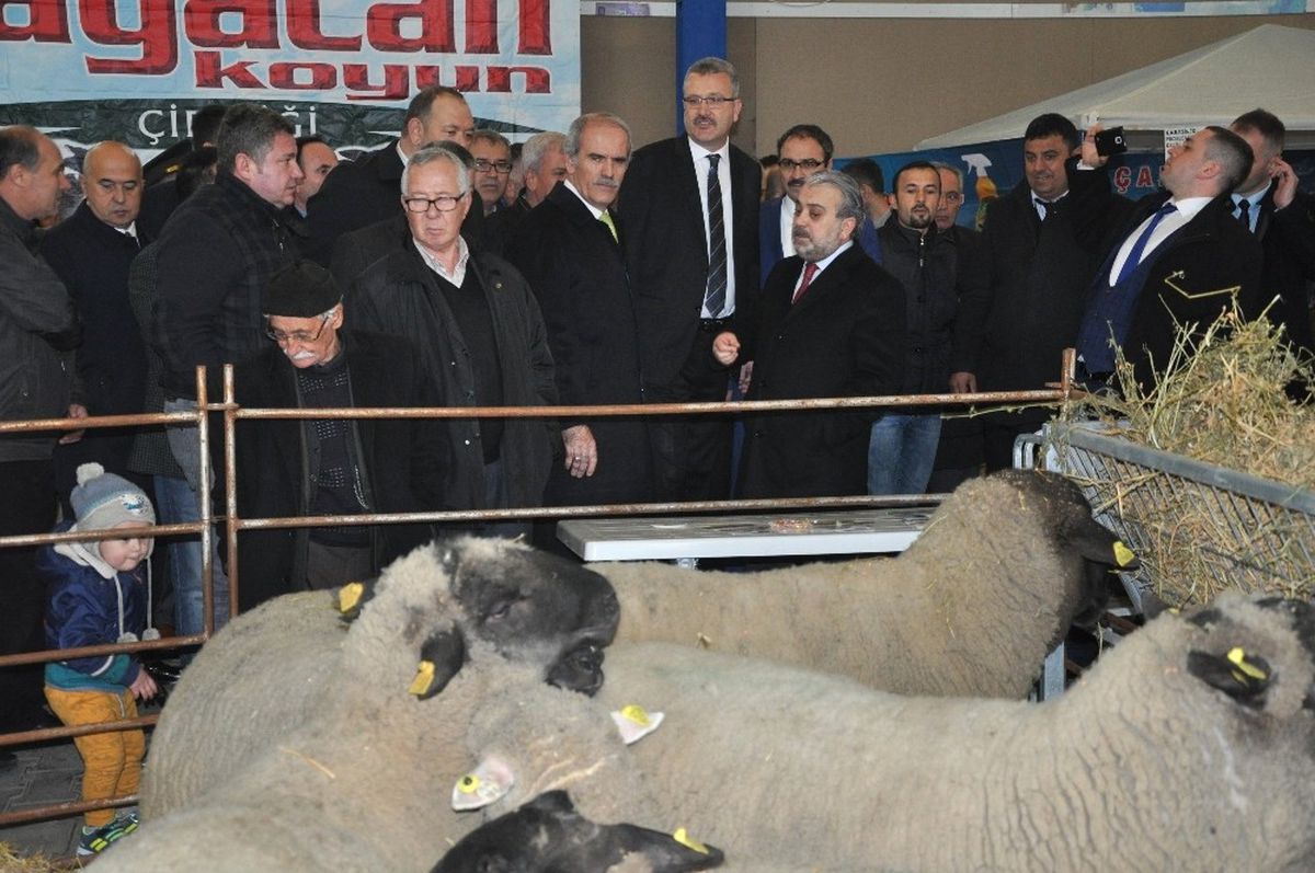Karacebiy\'de 6. Karacabey Tarım Fuarı Açıldı