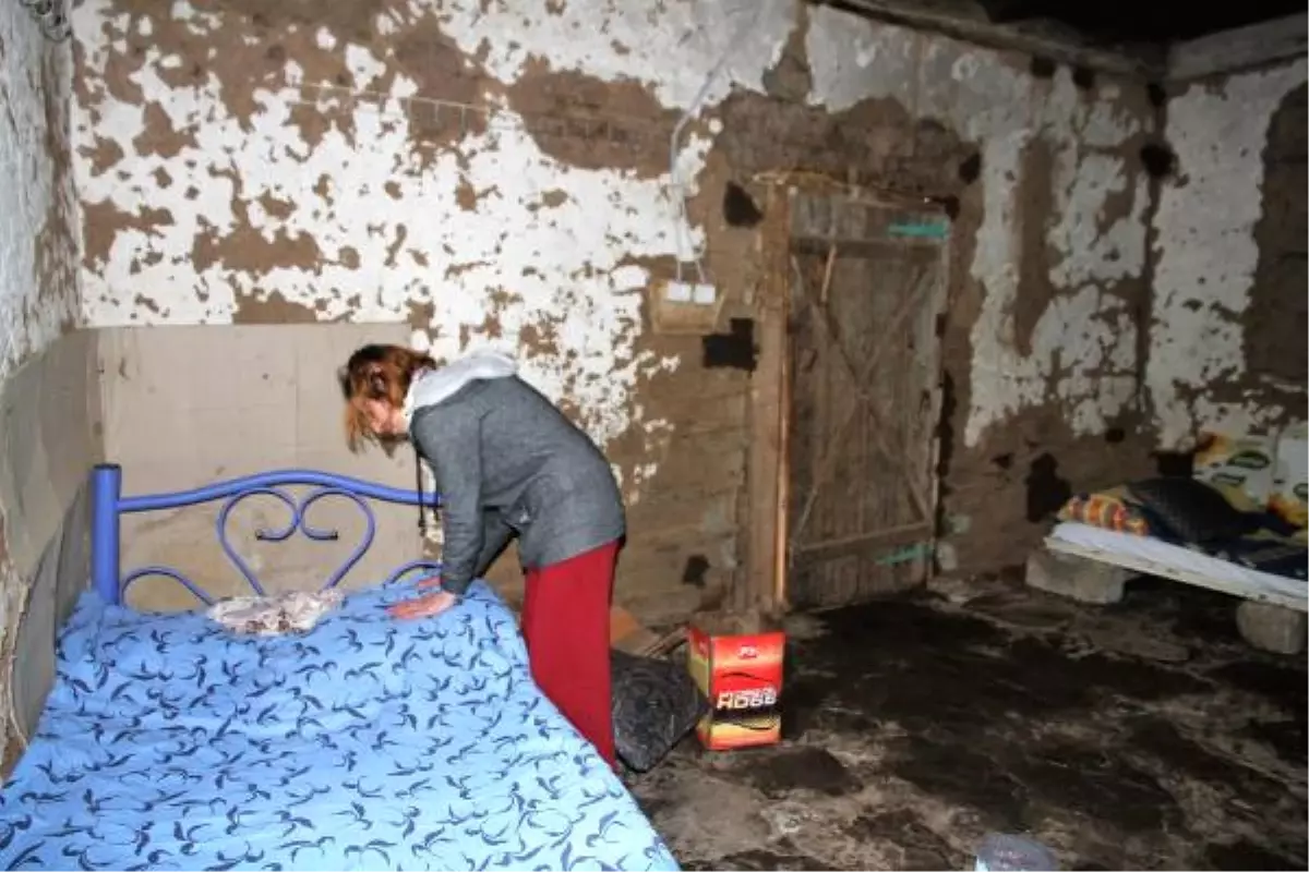 Koca Şiddetinden Kaçtı, Barakada Yaşıyor