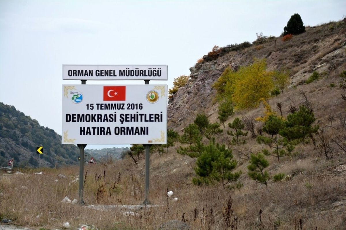Müdür Adnan Kayım: Şehitlerimizin Vatan Sevdası Fidanlarla Yarınlara Taşınacak