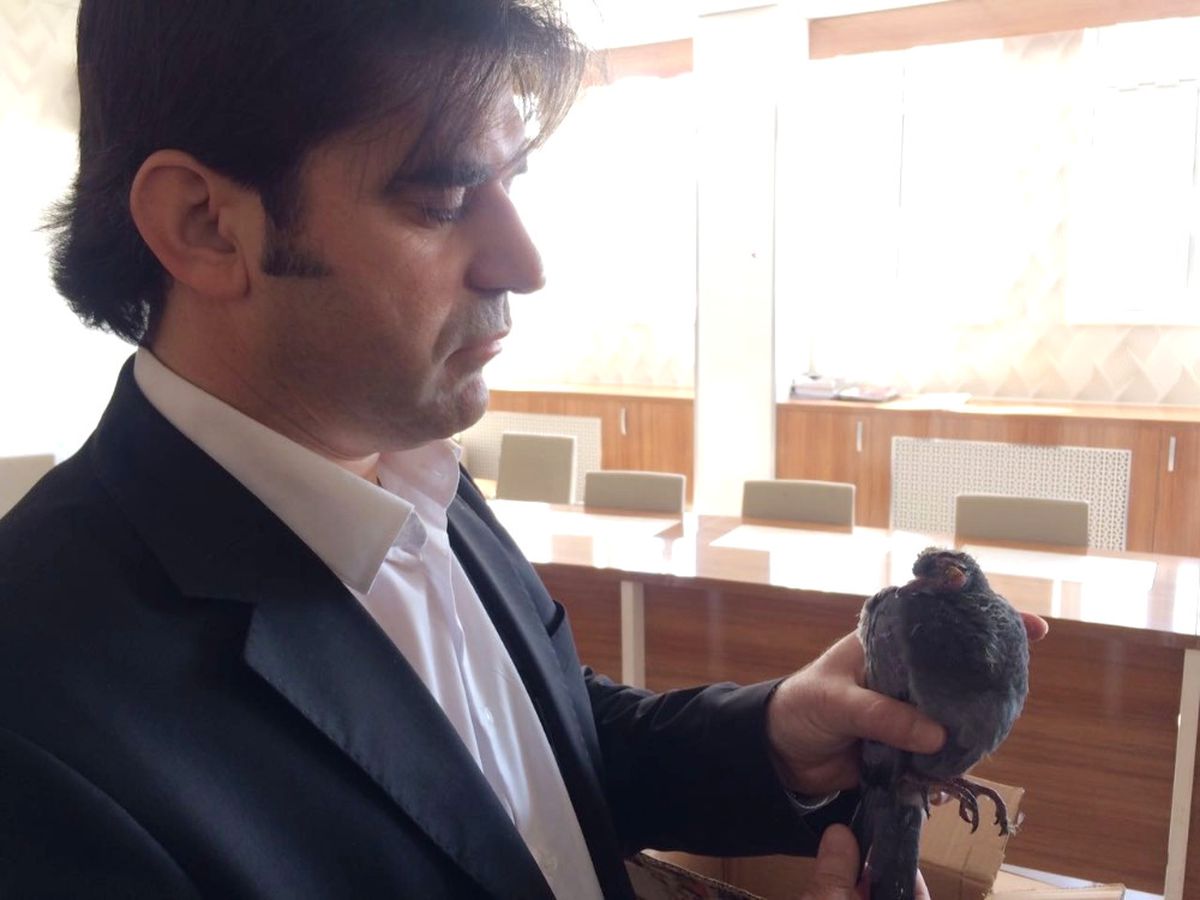 Öğretmenden Örnek Davranış