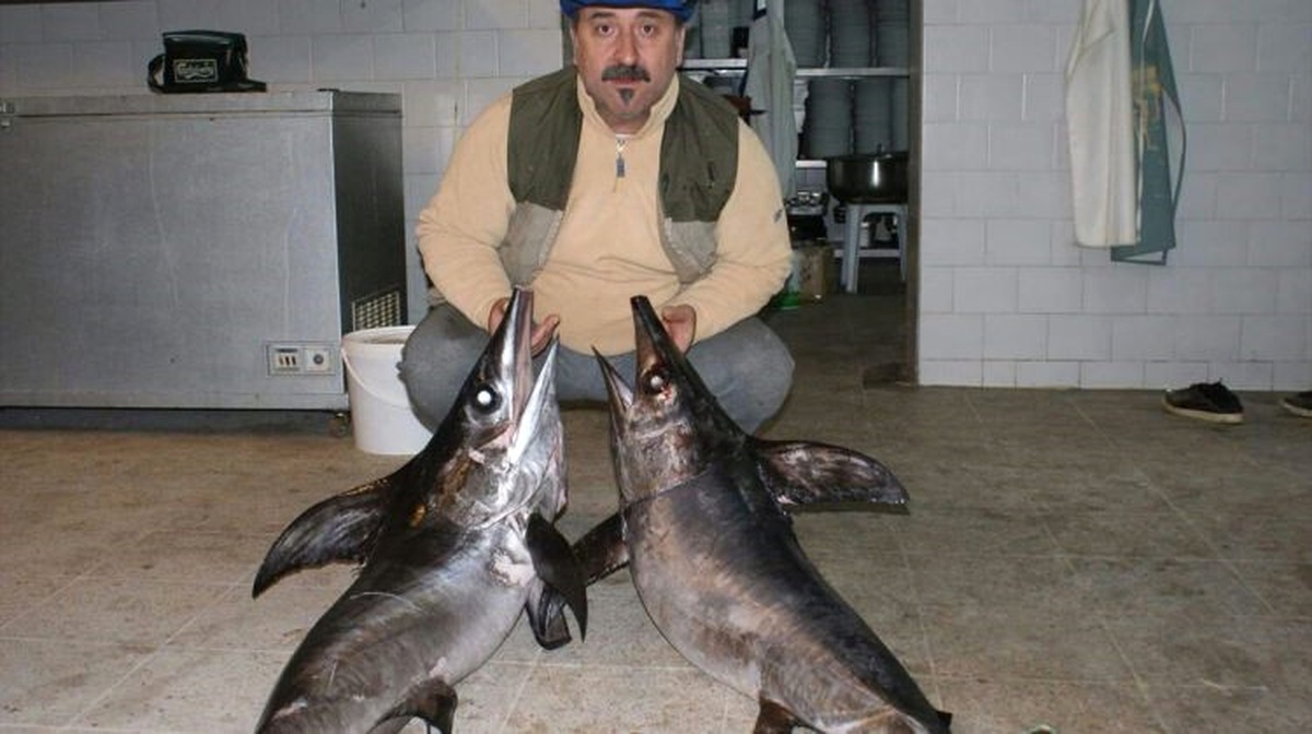 Amatör Balıkçı, Oltayla İki Adet 40 Kiloluk Kılıç Balığı Yakaladı