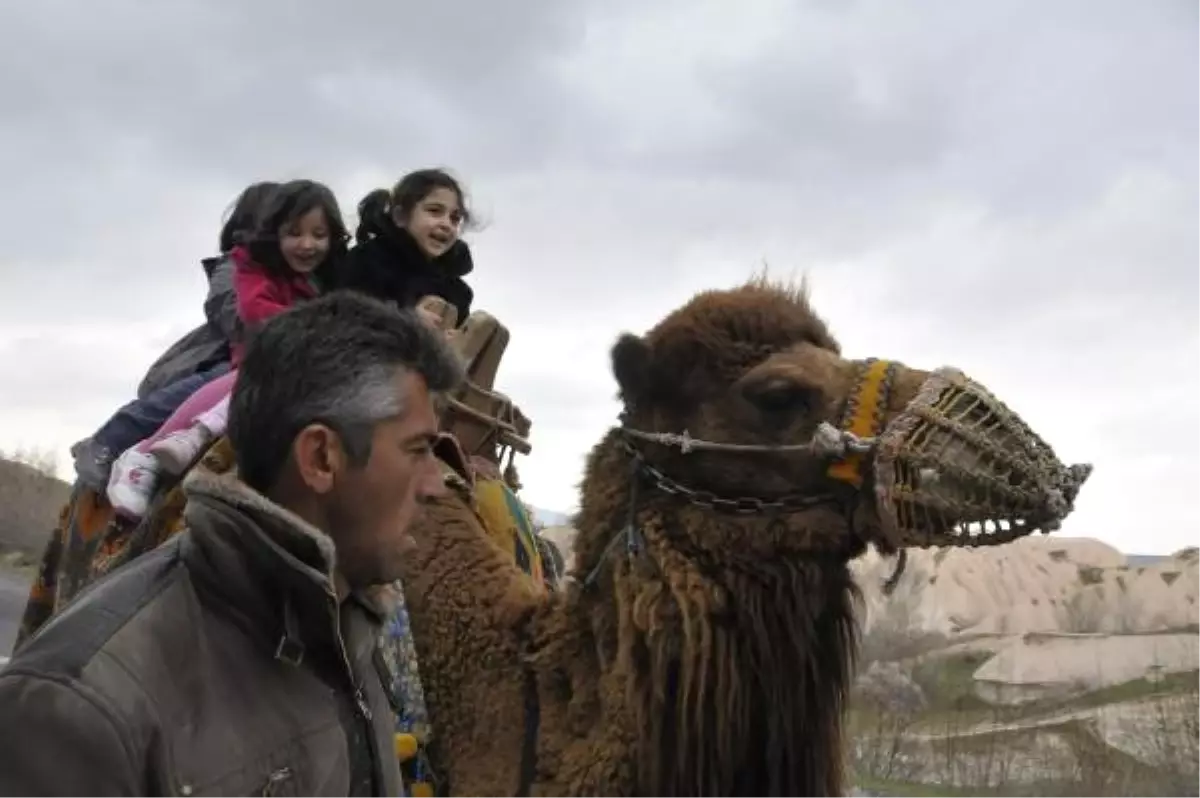 Soğuk Hava, Kapadokya\'daki Develeri de Üşüttü