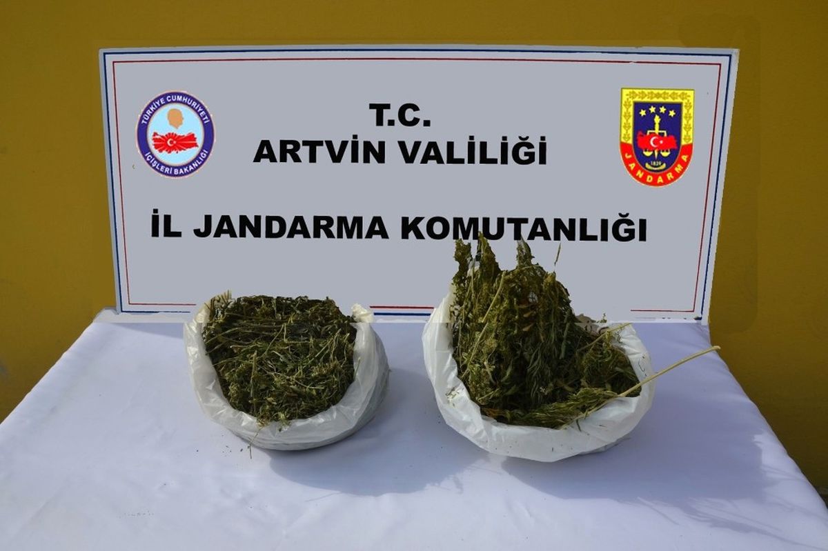 Artvin\'de Jandarmadan Uyuşturucu Operasyonu