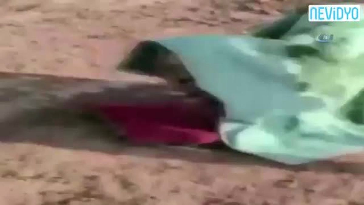 Battaniyenin Altından Eşek Çıktı