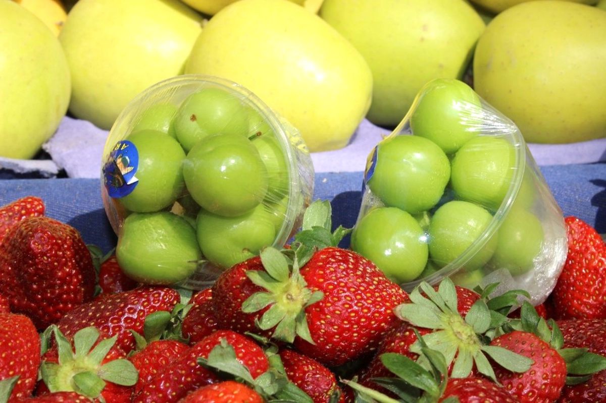 Edirne\'de Tezgaha Düşen Eriğin 75 Gramı 30 Lira