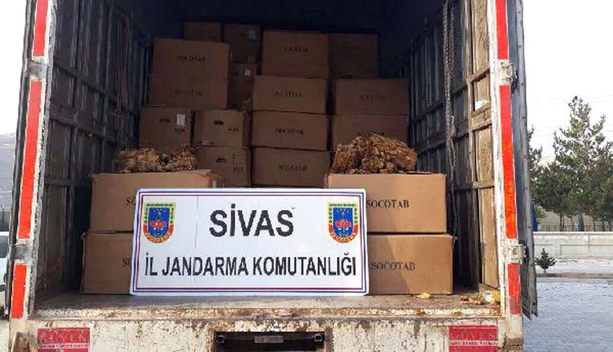 Gürün\'de Kamyondan 6.5 Ton Kaçak Tütün Çıktı
