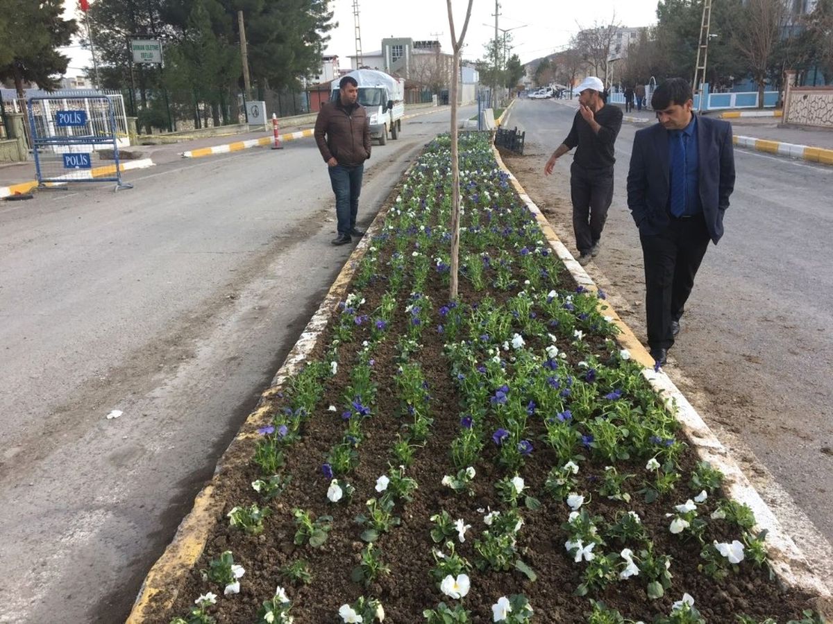 Hani\'de Yeşillendirme Atağı