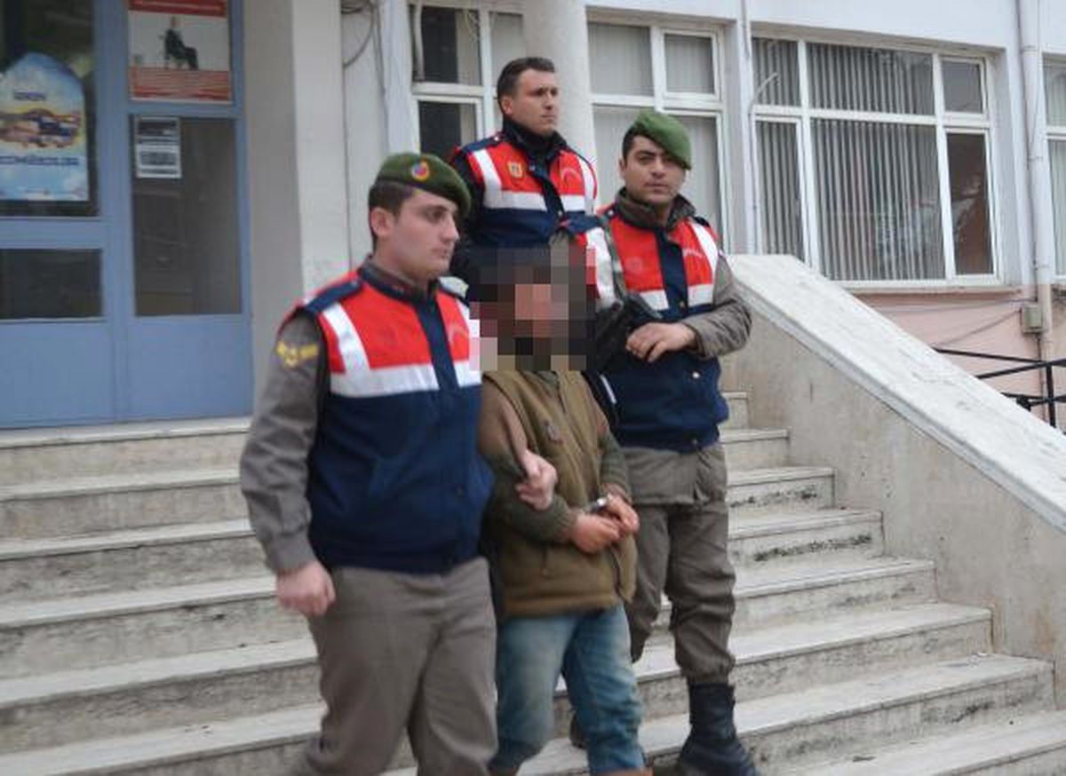 Kula\'da Hayvan Hırsızlığı Operayonu: 7 Gözaltı