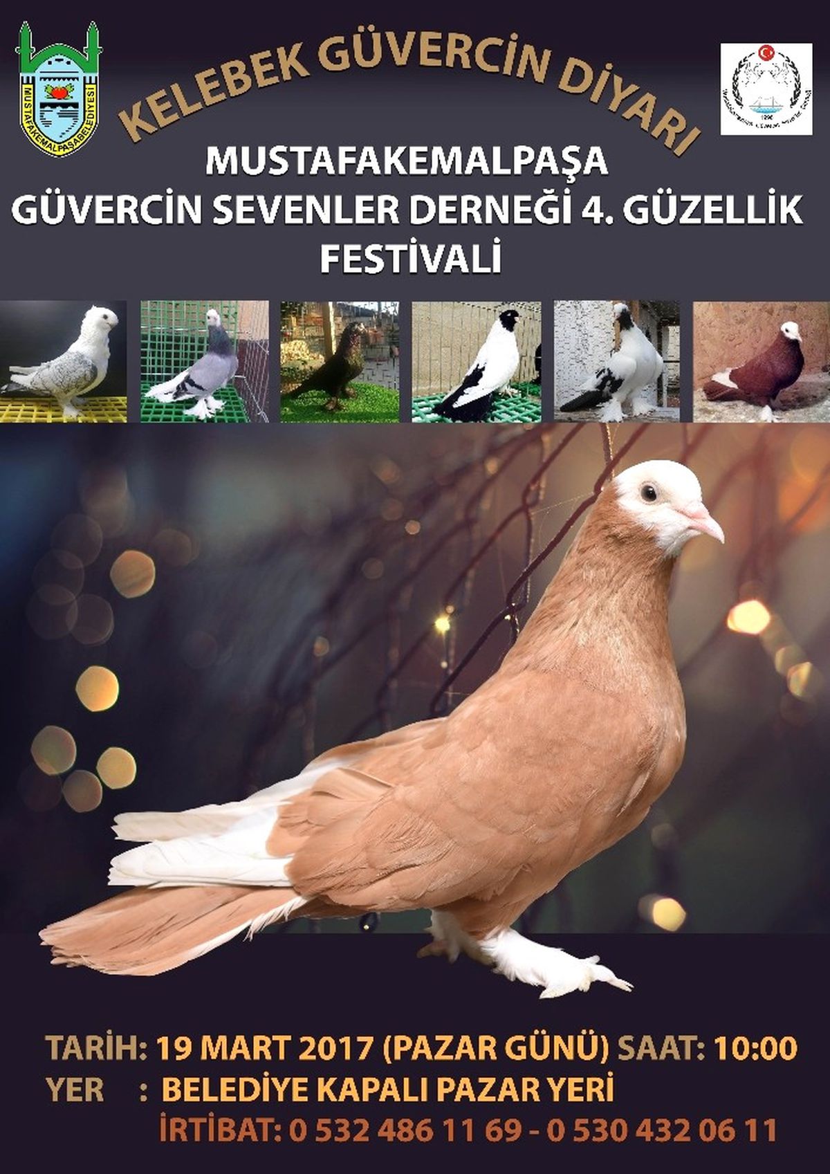 M. Kemalpaşa\'da Güvercin Festivali