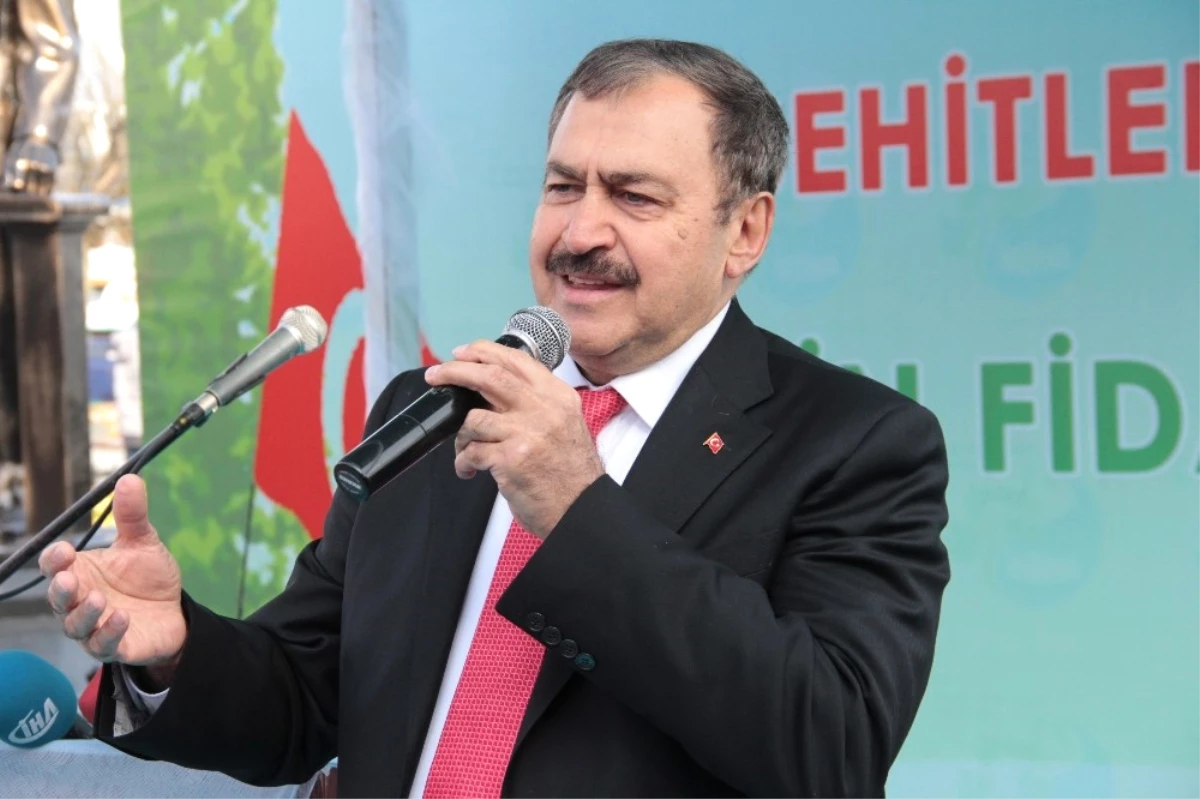 Orman ve Su İşleri Bakanı Veysel Eroğlu Sarıyer\'de Fidan Dağıttı