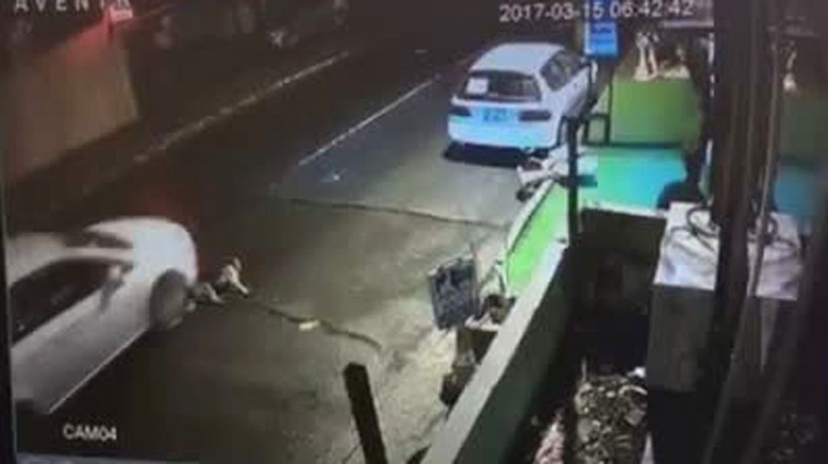 Trafik Kazasında Yaralanan Köpeği Ezdi
