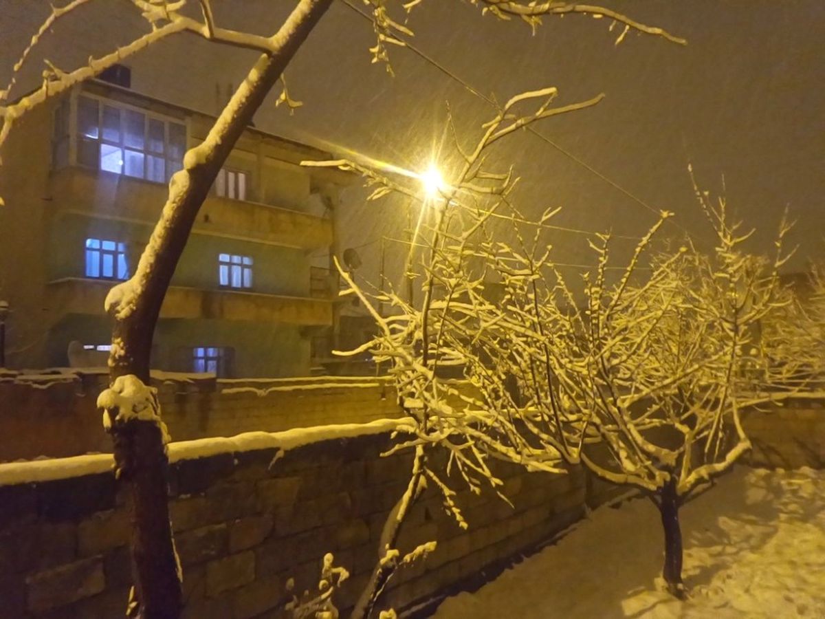 Van\'da Kar Yağışı